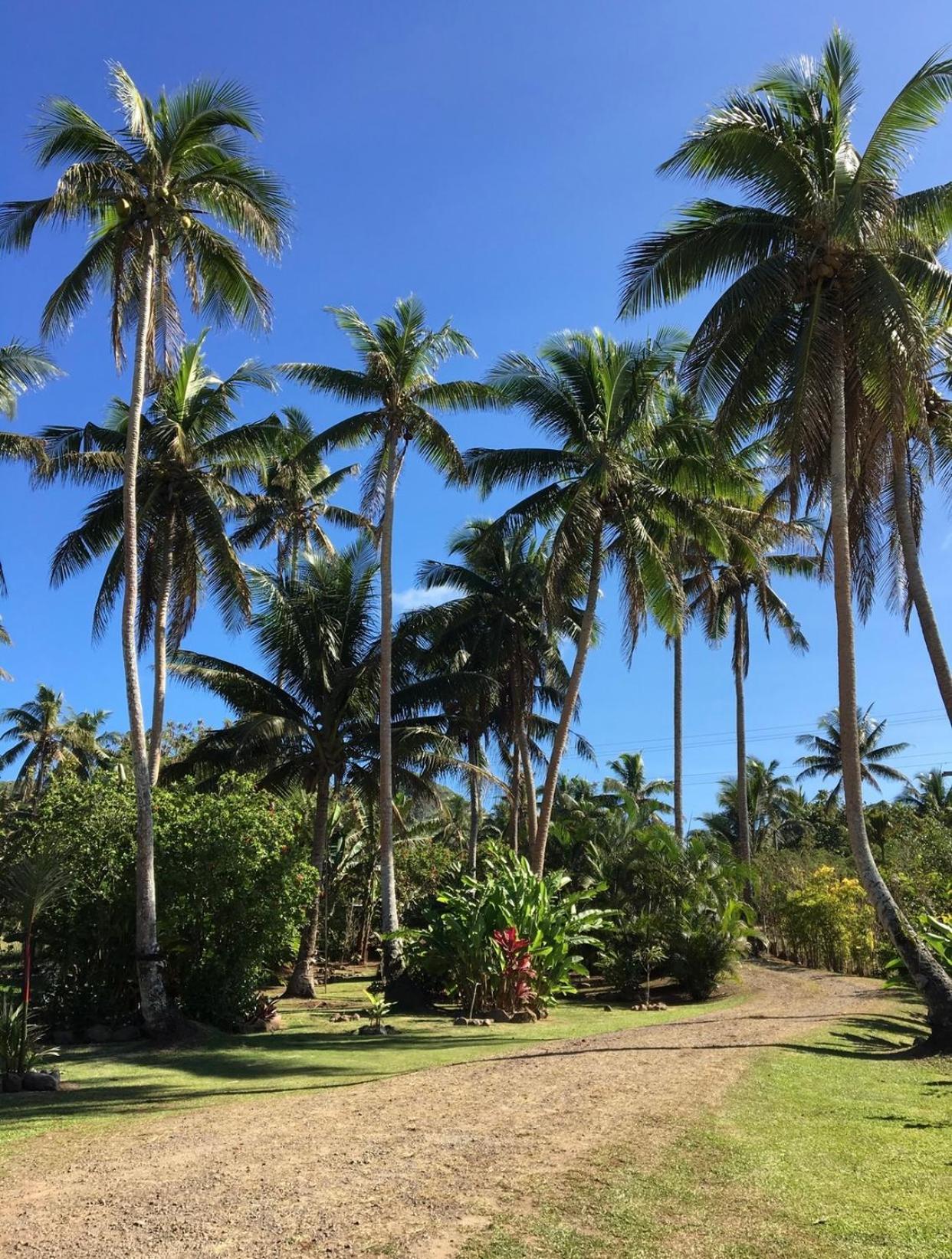 Island Breeze Fiji Villa Савусаву Стая снимка